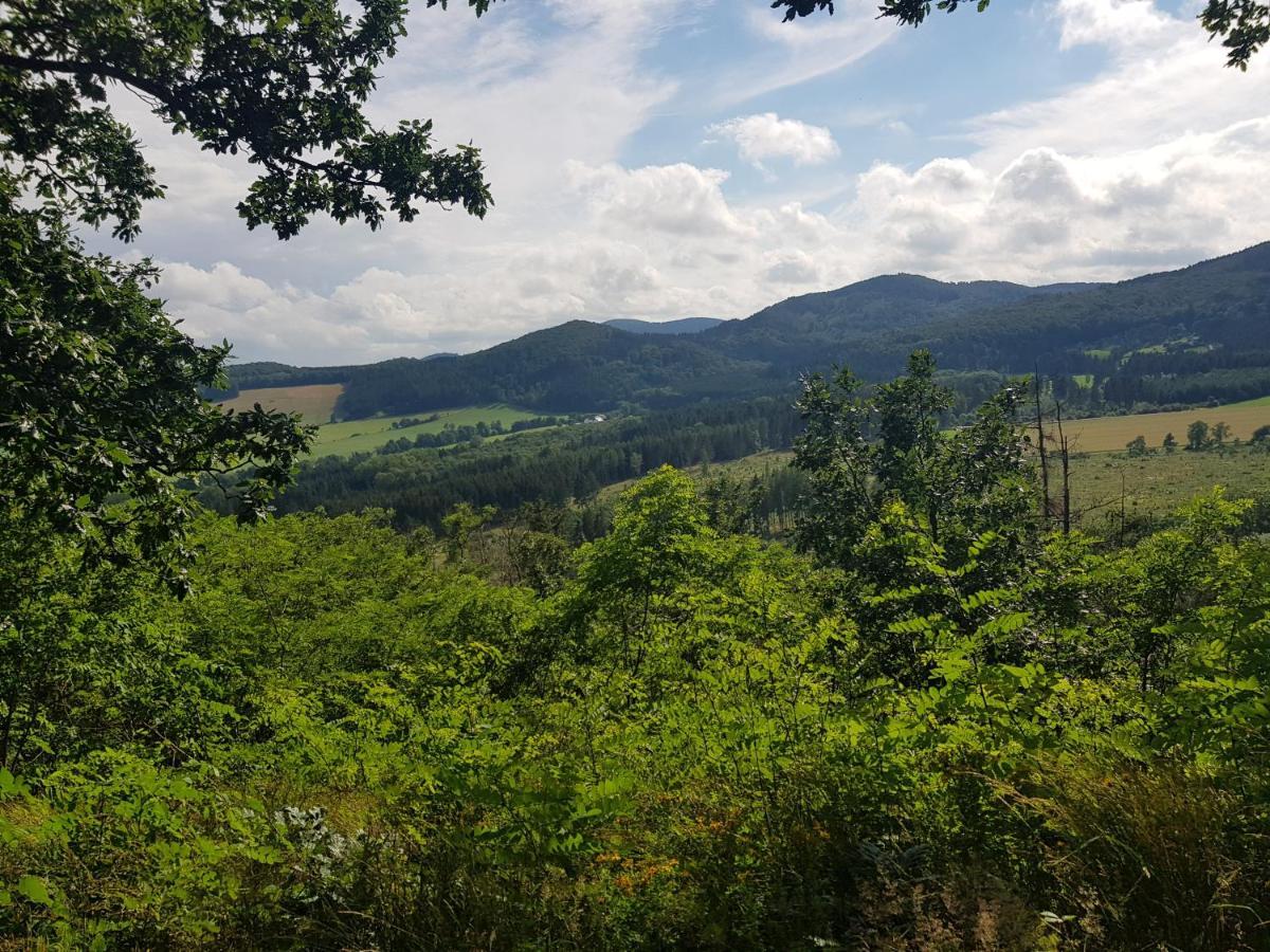 Ferienwohnung Parkblick Medebach Luaran gambar